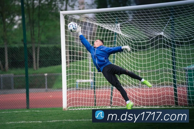 大三元官网平台登录平台生态图