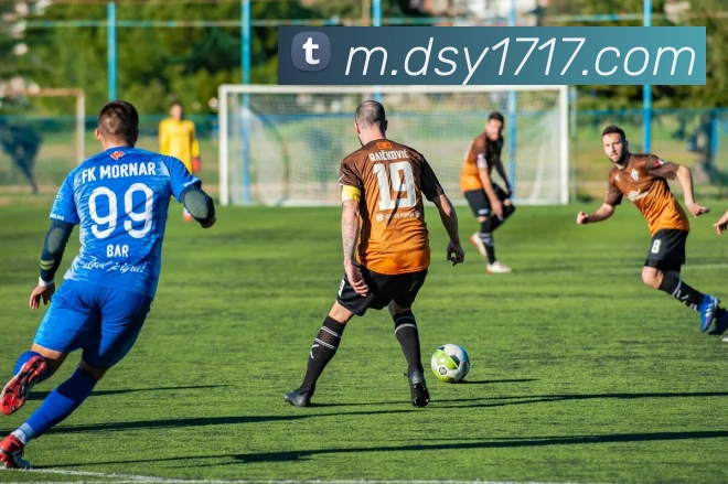 大三元官网平台登录全站App